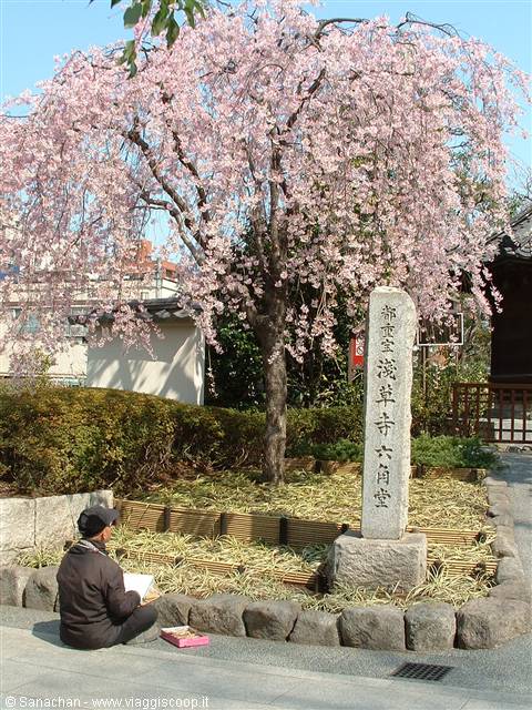 asakusa