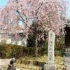 asakusa GIAPPONE 