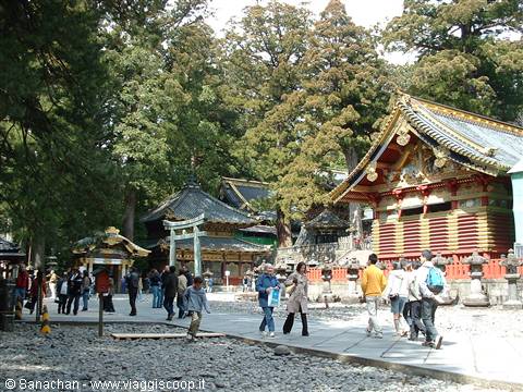 nikko