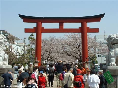 arrivo a kamakura