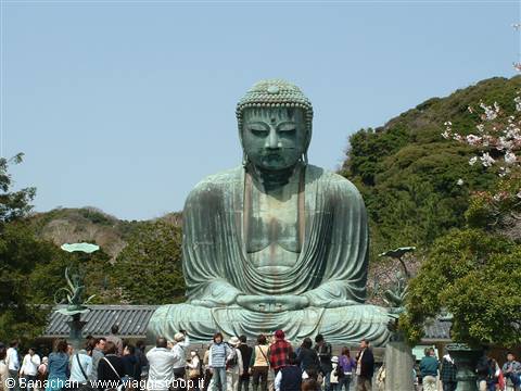 il grande buddha