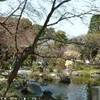 giardino di hase kannon GIAPPONE 