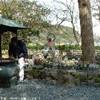 giardino hase hannon GIAPPONE 
