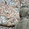 giardino hase kannon GIAPPONE 