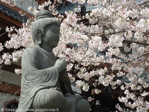 giardino hase kannon