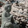 giardino hase kannon GIAPPONE 