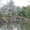 parco nijo-jo GIAPPONE 