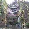 Maruyama park GIAPPONE 