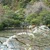 parco del kinkakuji GIAPPONE 
