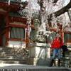 nara GIAPPONE 