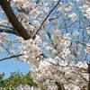 nara GIAPPONE 