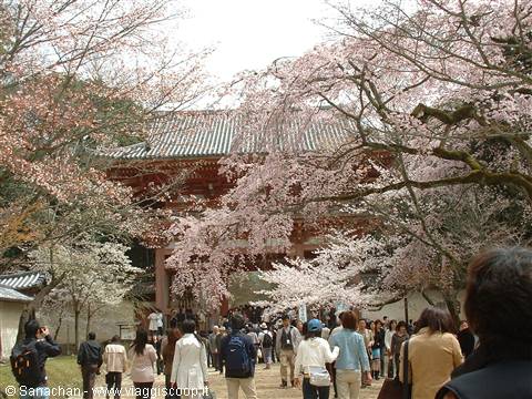 arrivo al Daigo-ji