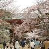 arrivo al Daigo-ji GIAPPONE 