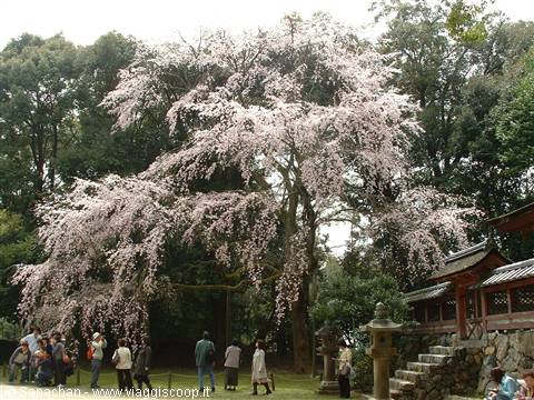 daigo-ji
