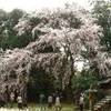 daigo-ji GIAPPONE 