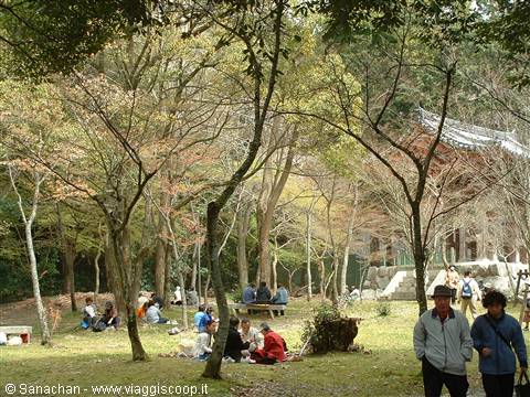 come si fa a non "picnicare" in posti come questi?