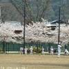 non sapevo che il baseball fosse così diffuso in Giappone... GIAPPONE 