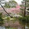 giardini heian shrine GIAPPONE 