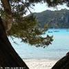  FRANCIA 