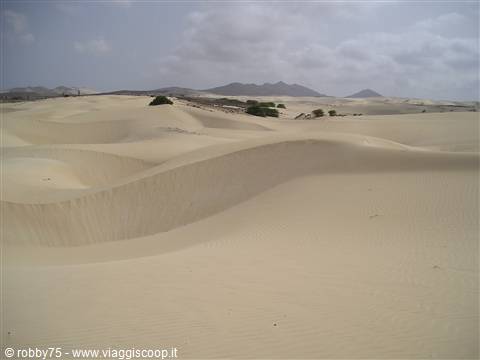DESERTO
