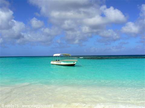 SHOAL BAY EAST