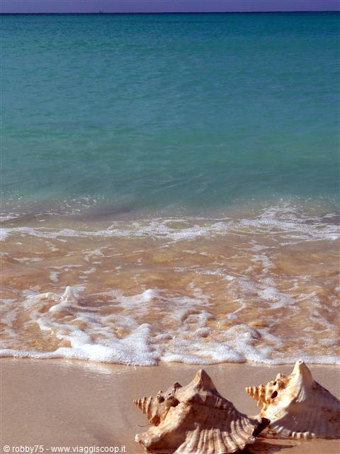 RENDEZVOUS BAY