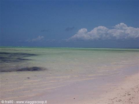 Kenya - Jacaranda Beach