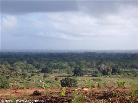Kenya - verso lo Tzavo Est