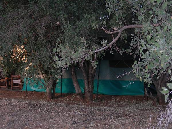 Safari Tzavo Est Ndololo Camp
