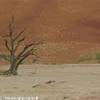 La valle della morte NAMIBIA 