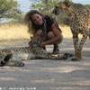 I ghepardi NAMIBIA 