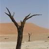Valle della morte NAMIBIA 