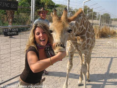 Io e Camillo