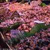 Mercato della Boqueria SPAGNA 