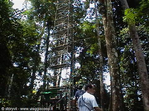 struttura in alluminio per ammirare la jungla dall'alto della cima degli alberi
