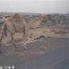  EMIRATI ARABI UNITI 
