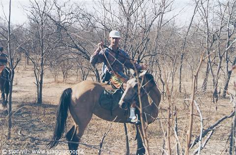 alle victoria falls safari a cavallo