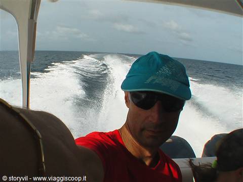 Daniele Dalla nave all'isola