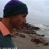 foche di cape cross NAMIBIA 