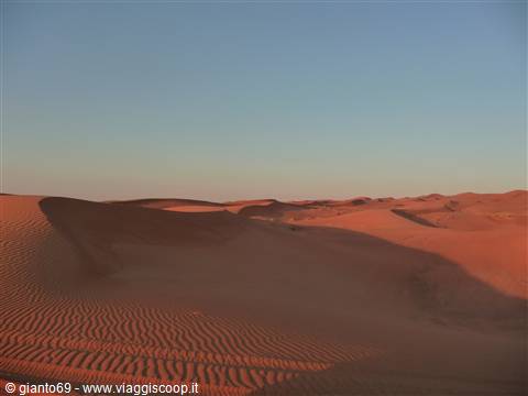 DESERT SAFARI