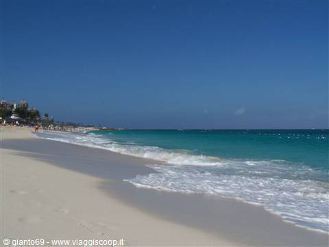 CABBAGE BEACH