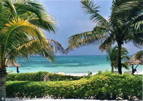 Club Akumal Beach