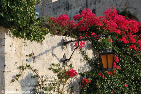 Mdina