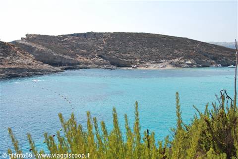 Comino