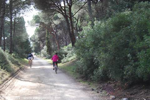 Parco della Feniglia