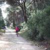 Parco della Feniglia ITALIA 