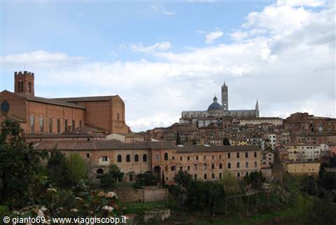 Siena