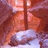 Bryce Park STATI UNITI D'AMERICA 