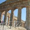 SEGESTA ITALIA 