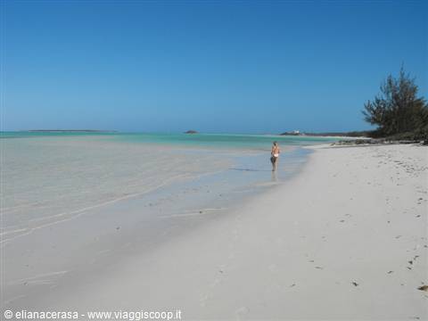 Exuma, Cocoplum beach